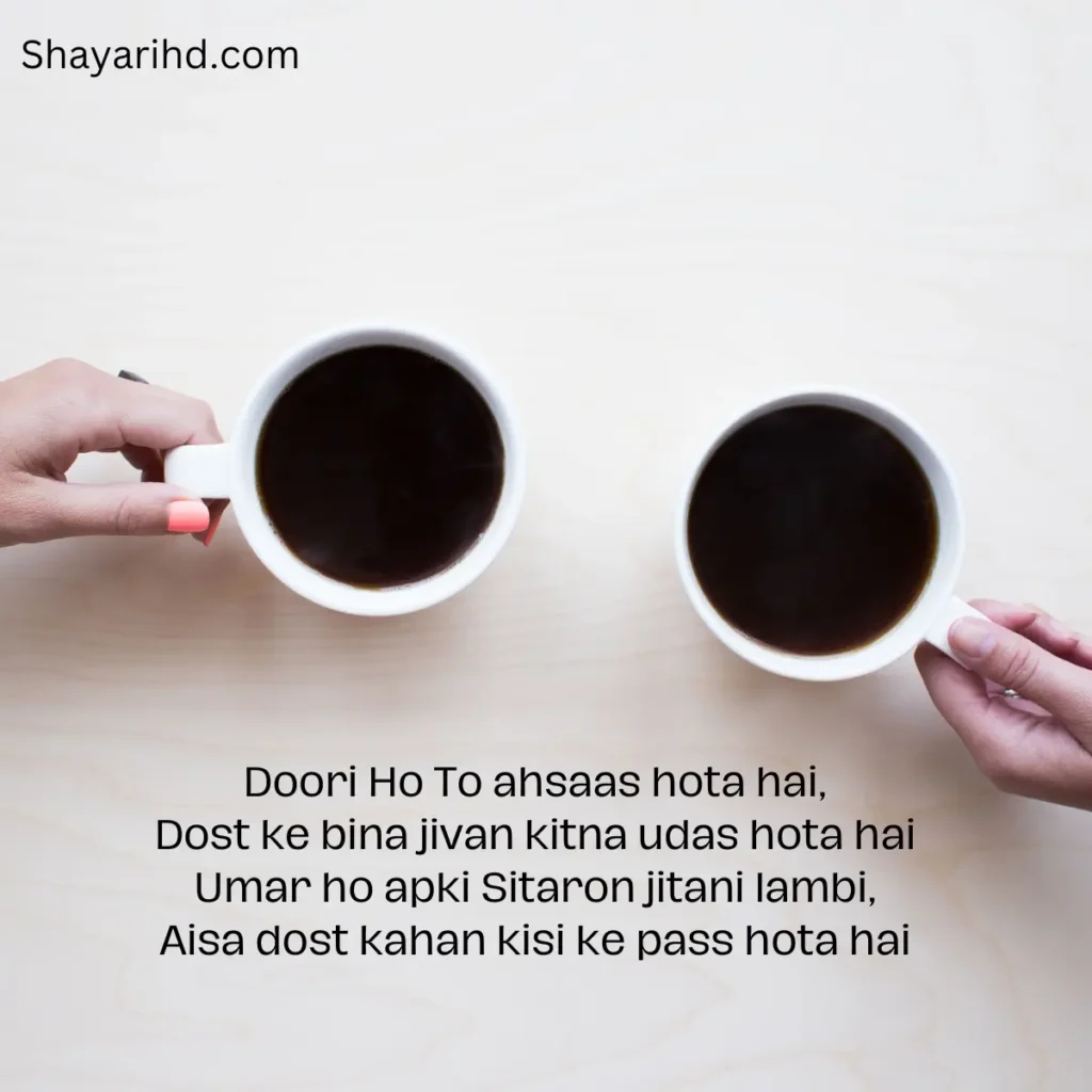 Friendship Day Shayari in English